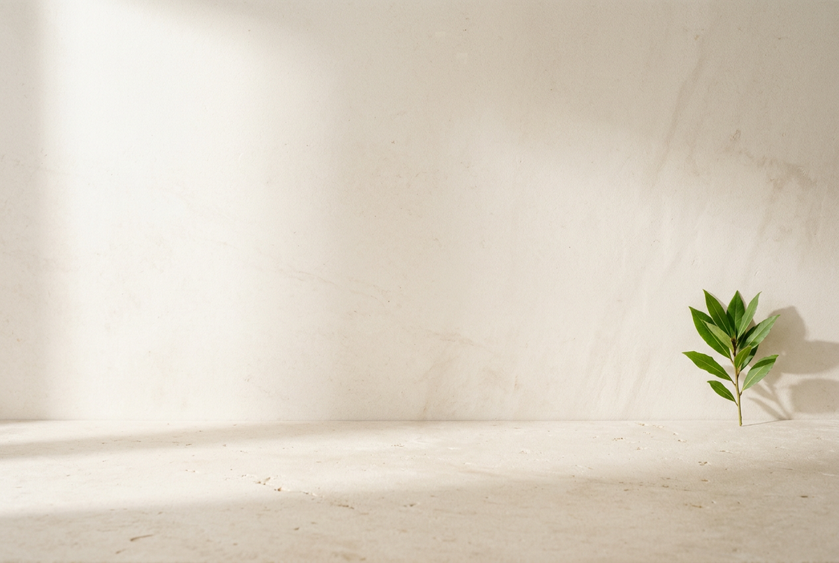 Morning light on a stone wall